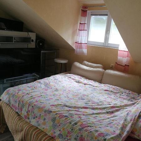 Wohlfuehloase - Zimmer, Appartment - Im Herzen Starnbergs Δωμάτιο φωτογραφία